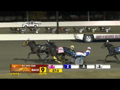 Meadowlands November 15, 2014 - Race 9 - Hall Bro