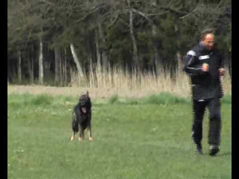 Hank_v_Weinbergblick_04_2010_C100.flv