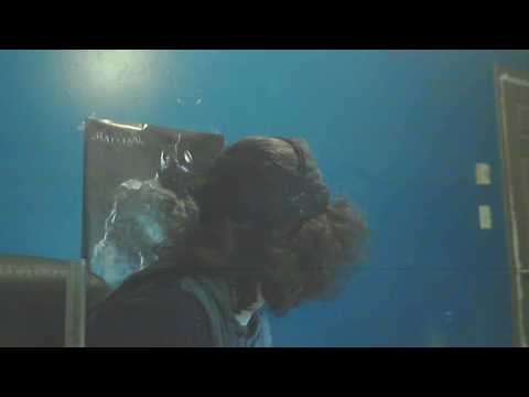 you should be flying anywhere, you should buy flying everywhere