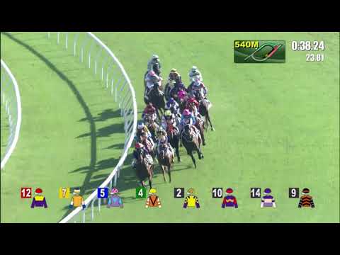 13/11/2021 (172) Pins Prince - J Moreira