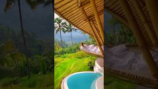Download lagu Best hotels in the world. #bali #ubud #india #hotel #europe mp3 Download lagu Best hotels in the world. #bali #ubud #india #hotel #europe mp3