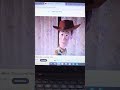 Disneys The Many Adventures Of Winnie The Pooh Pooh Gets Stuck And Gets Lonely With Music Scene