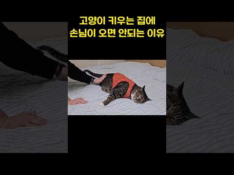 친절하게 대하라고 했더니 꼬시고있네