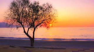 Robert Miles In my dreams