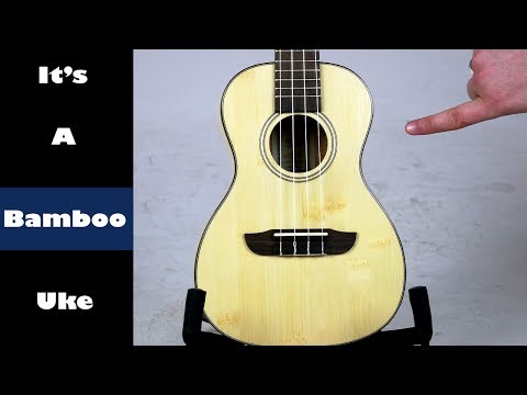 Обзор укулеле Ortega RUBO