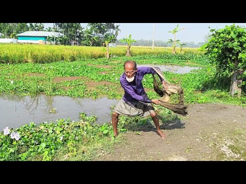 Village Cast Net Fishing Video - Best Net Fishing Video - Amazing Fishing Video
