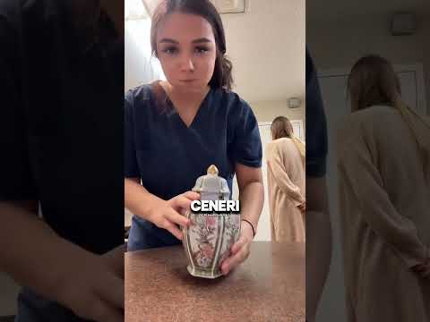 Laughed till you cried at this surprise!