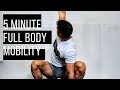 Full Body Mobility Routine for ANY WORKOUT | Fit In 5