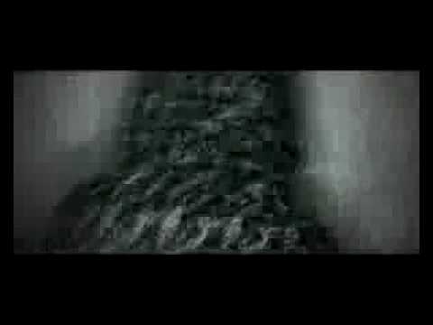 Vacca Poco poco poco