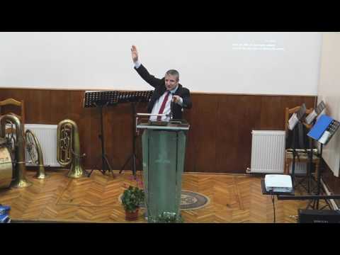 8. Pantoful Printesei - Daniel Duta