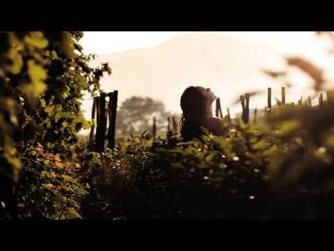 Sollito & Evence - Everest