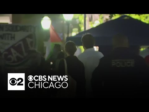 University of Chicago Protests: Clashing Sides and De-escalation