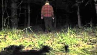 DMB Smooth Rider Music Video