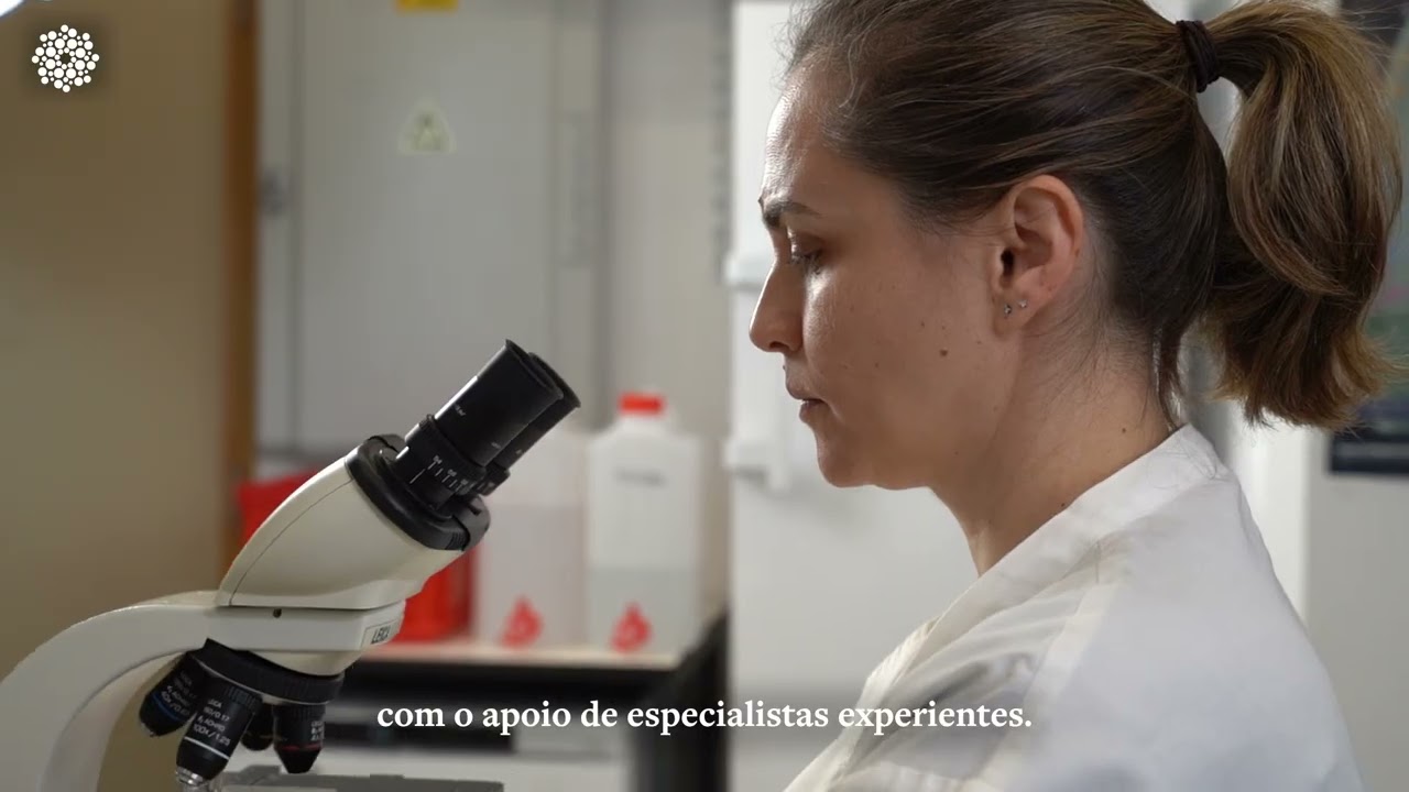 Biology and Biomedicine PhD Programme Call 2026