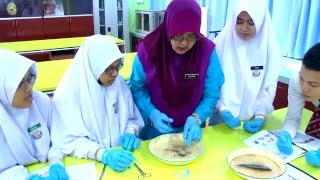 e-GURU: BIOLOGI Tingkatan 4 - Respirasi