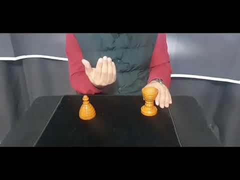 JL Ball & Silk Vase (wood)