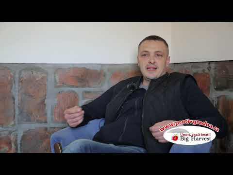 Ulaganjem u protivgradnu zaštitu i sistem za navodnjavanje ulažete u kvalitet voća