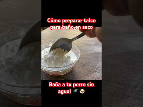 Cómo preparar el baño en seco para perros #dog #doglover #perros #mascotas #perro #pet #vidadeperros