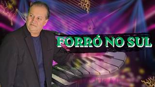 ANJINHO DOS TECLADOS TURNÊ 2026 13 FORRO NO SUL AS MAIS PEDIDAS DO DIA FORRÓ DE ÉPOCA XOTE BOM