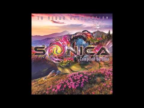 VA-Sonica 10 Years Celebration (Compiled By Gino)