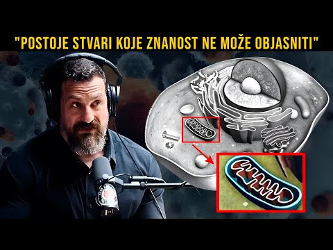 🧠 Neuroznanstvenik otkriva: Vjera vs. Znanost – Dokaz za Boga i istina!