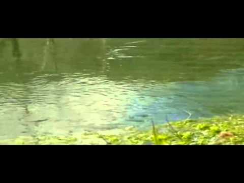 ONDA TG 19.12.2014 - DISCARICA BUSSI   ASSOLTI TUTTI GLI IMPUTATI