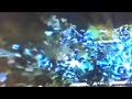 Cars Tractor Tipping In Lost Effect