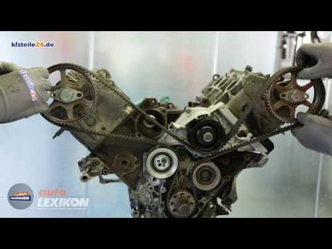 Timing belts - structure and function of the belt drive [AUTOLEXIKON]