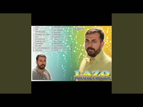 Ibarska magistrala 2