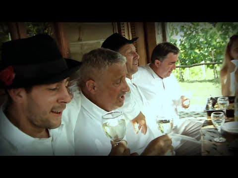 Rajko Suhodolčan i Faringaši - Zdignimo čaše