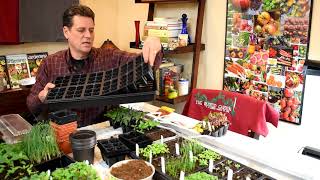 Gardening 101 Ep1: Indoor Vegetable Seed Starting Basics: Seeds, Starting Supplies &amp; Lighting