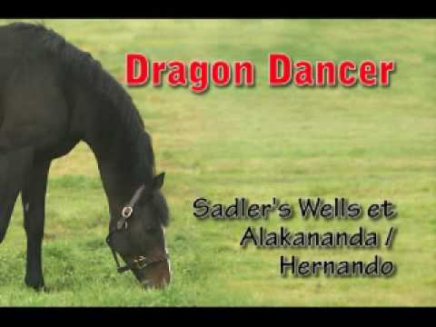 Etalon PS : Dragon Dancer -  / Sadler's Wells