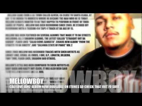 MELLOWBOY NEW SAMPLE TRACK** 2012