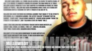 MELLOWBOY NEW SAMPLE TRACK** 2012