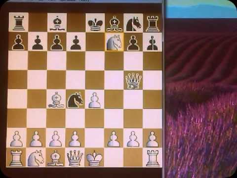 Italijanska partija -Blackburne Shiling takozvani KOSTIĆ gambit MUELLER vs PIEPER #102