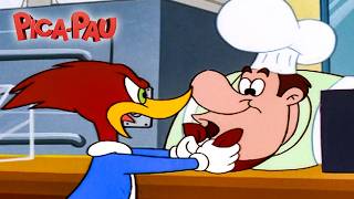 LIVE 🔴 Pica-Pau Quer Sua Pizza AGORA! 🍕Pica-Pau em Português 📺 Maratona de Episódios