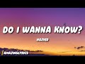 Hozier Do I Wanna Know
