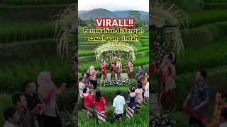 Download lagu VIRALL! sebuah pernikahan di laksakan di tengah sawah dengan iringan musik Tayub#tayub #gendingjawa mp3