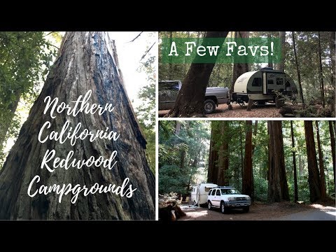 NoCal Redwood Campgrounds / A Few Favs!
