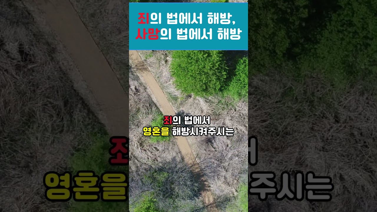 죄의 법에서 해방과 사망의 법에서 해방