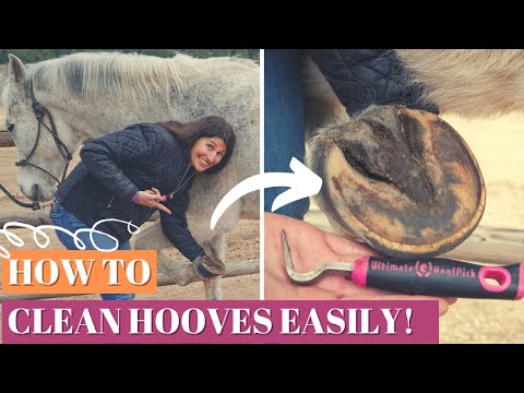 How To Clean a Horse's Hoof