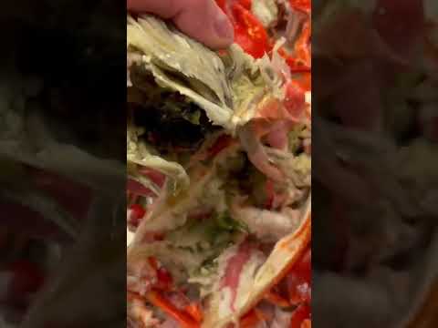Strange black goo inside big lobster 🦞
