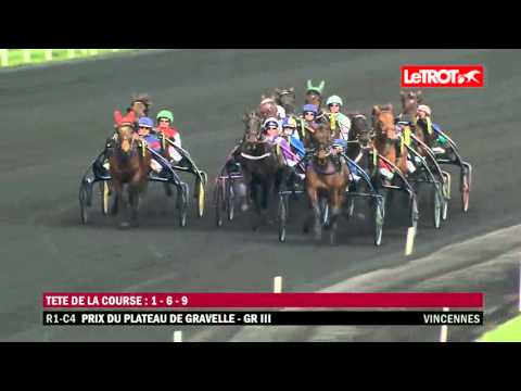 Vincennes   -   Prix du Plateau de Gravelle (GROUPE III)   -   Amiral Sacha   -   25-02-2016