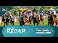 20221130 Hollywoodbets Greyville Race Day Recap