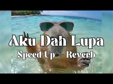 Aku Dah Lupa - Zia & Mikky (Speed Up + Reverb)