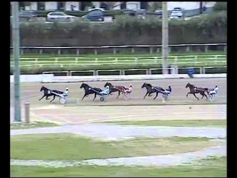 Trotto 29/01/2015 - Prova di qualifica