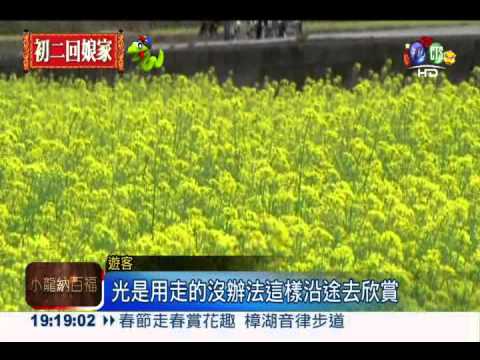 花海公路騎鐵馬 悠遊美景兼健身