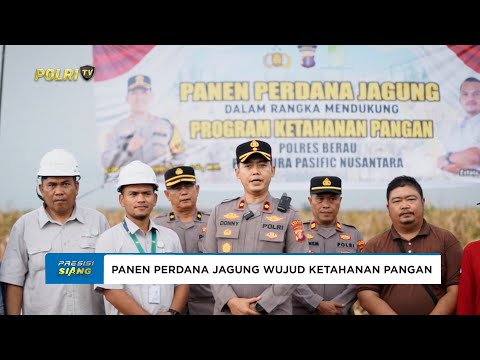DUKUNG KETAHANAN PANGAN, POLSEK SEGAH PANEN 1,5 TON JAGUNG