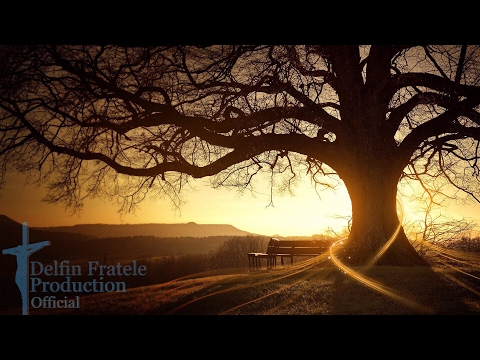 [HD] Fundal Pt Predica/Poezi/Relaxare [D.F.P]