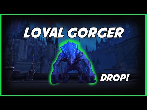 Loyal Gorger Drop